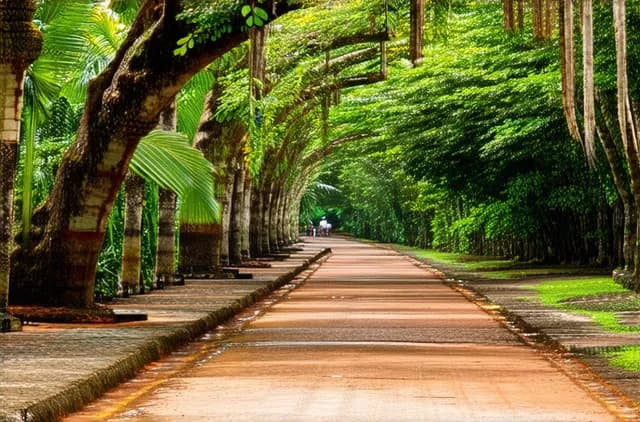 Discover the Best Areas for Solo Travelers in Managua