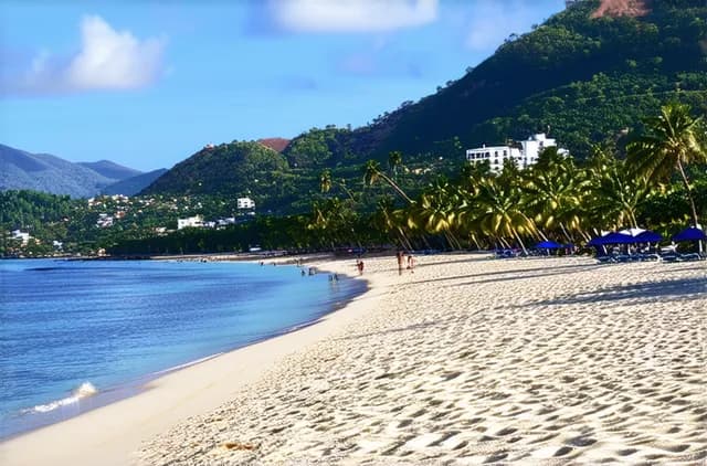 Top Beaches for Solo Travelers in Zihuatanejo