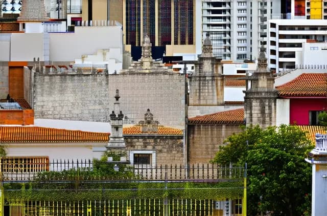 Explore Mexico City: Best Neighborhoods for Solo Travelers