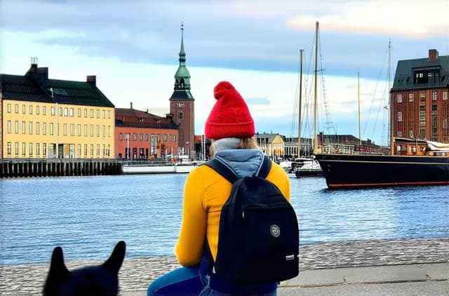 Complete Guide: Copenhagen Solo Budget Travel