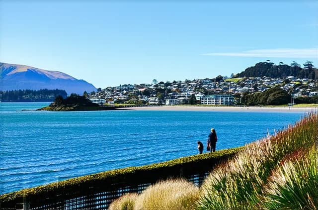 Budget-Friendly Dunedin Solo Travel Tips