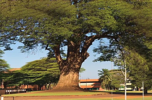 Ultimate Guide: Harare Solo Budget Travel