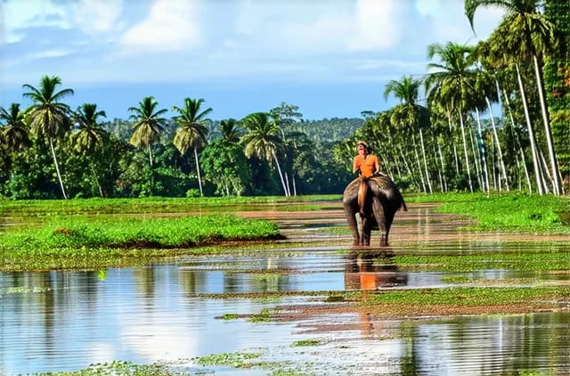 Ultimate Guide: Iquitos Solo Budget Travel