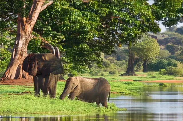 Budget Travel Tips for Lilongwe: Save & Explore