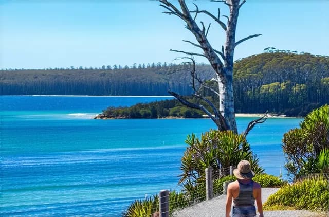 Complete Guide: Noosa Solo Sightseeing Adventures