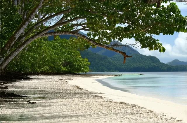 Essential Safety Tips for Solo Travel in Puerto Princesa