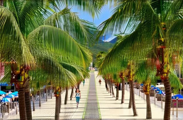 Smart Tips: Puerto Vallarta Solo Travel Budget Tips