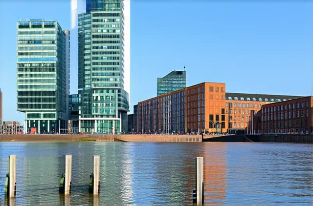 Budget-Friendly Solo Travel Guide to Rotterdam