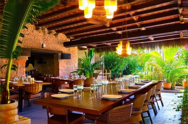 Solo Dining Options in Puerto Vallarta: A Complete Guide