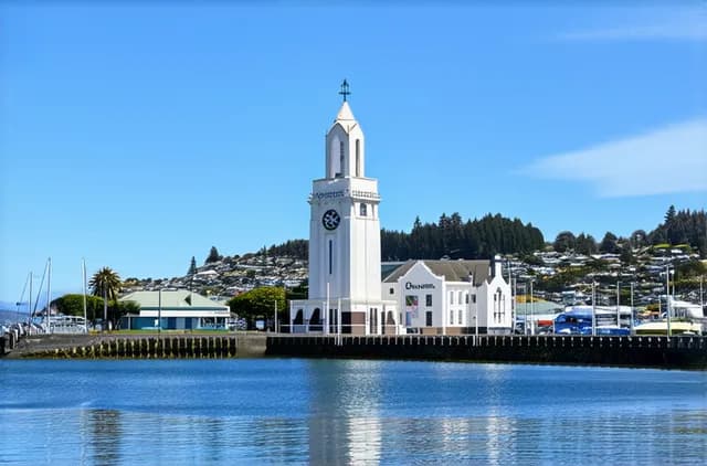 Complete Guide: Solo Sightseeing in Dunedin