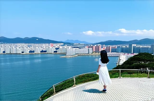 Complete Guide: Solo Travel in Busan
