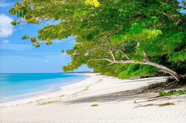 Complete Guide: Solo Travel in Diani Beach