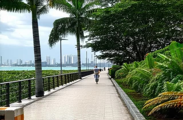 Complete Guide: Solo Travel in Panama City