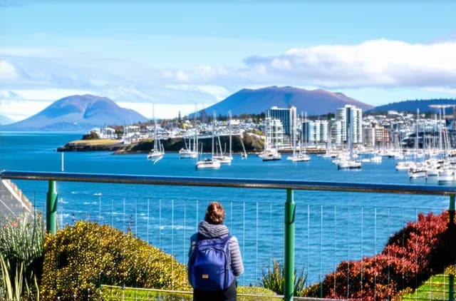 Complete Guide: Solo Travel in Wellington