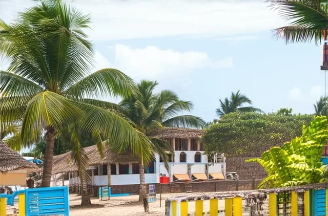 Top Activities for Solo Travelers in Puerto Escondido