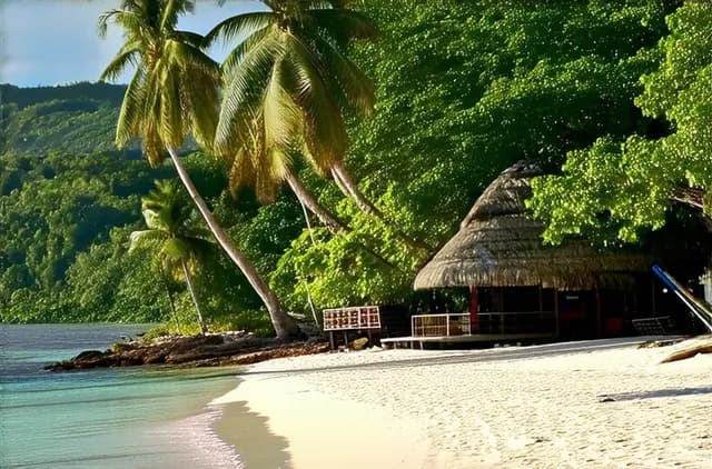 Essential Guide: Top Attractions for Solo Travelers in Negril