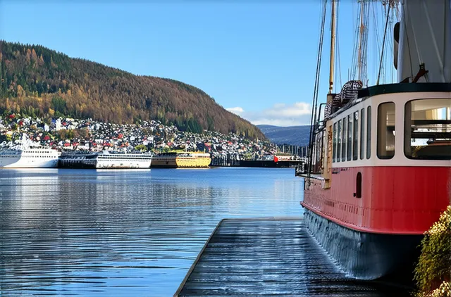 Complete Guide: Bergen Solo Travel Safety Tips