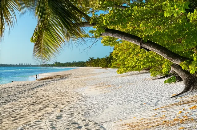 Best Beaches for Solo Travelers in Fort Lauderdale