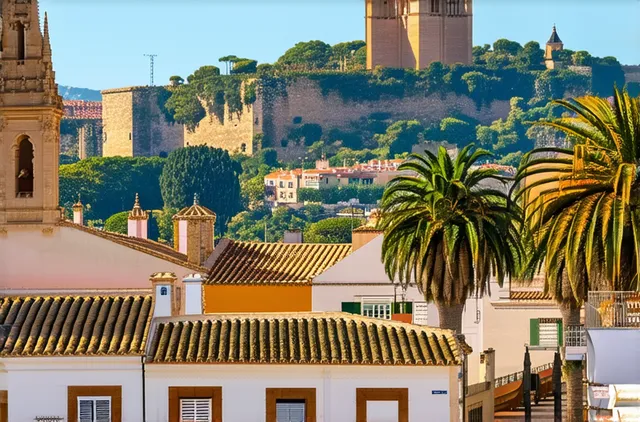 Top Picks: Best Neighborhoods for Solo Travelers in Palma de Mallorca