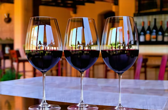 Complete Guide: Best Wine Tours for Solo Travelers in Mendoza