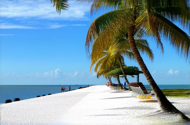 Budget-Friendly Solo Travel Options in Fort Lauderdale