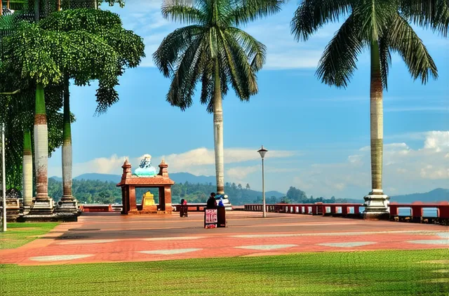 Kochi Solo Travel: Budget Tips & Unique Experiences