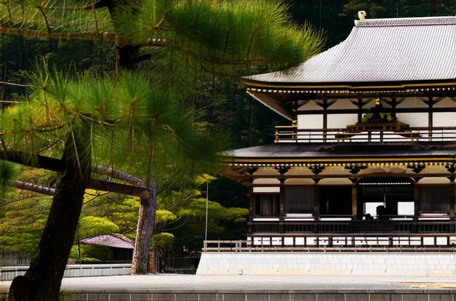 Budget-Friendly Solo Travel Tips for Kyoto