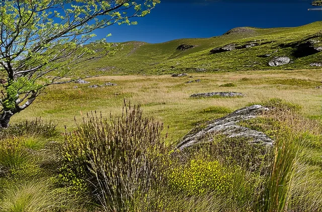 Nature Experiences for Solo Travelers in Akureyri