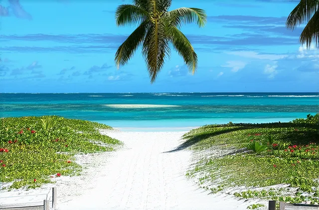 Top Safety Tips for Solo Travel in Placencia