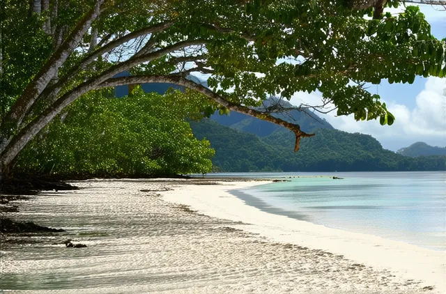 Essential Safety Tips for Solo Travel in Puerto Princesa