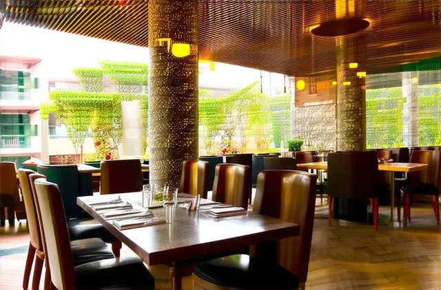 Solo Dining Options in Addis Ababa: A Guide