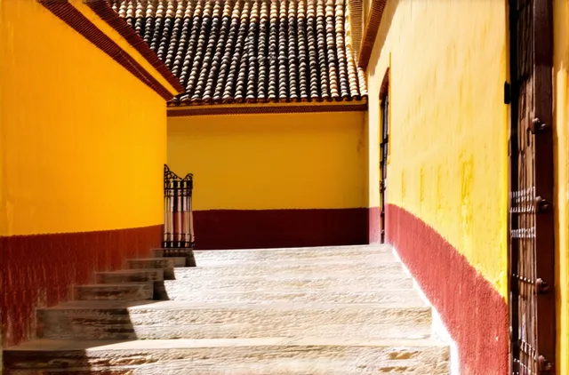 Complete Guide: Solo Travel in Oaxaca City