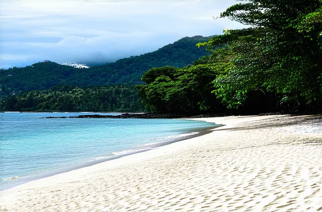 Essential Guide: Solo Travel in Puerto Galera