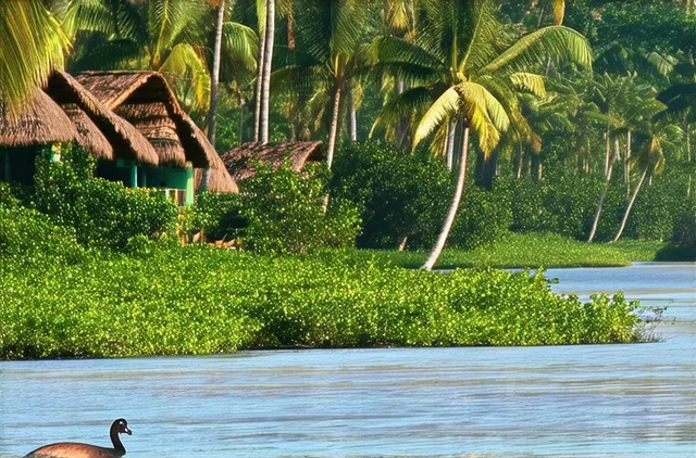 Top Attractions for Solo Travelers in Dar es Salaam