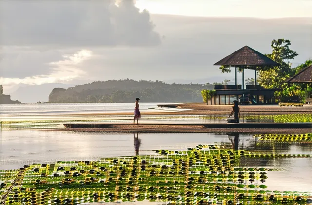 Top Solo Activities in Kerobokan: Your Ultimate Guide