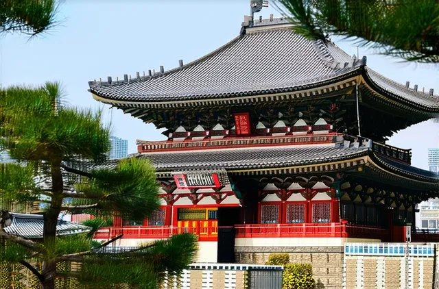 Best areas to stay for solo travelers in Seoul