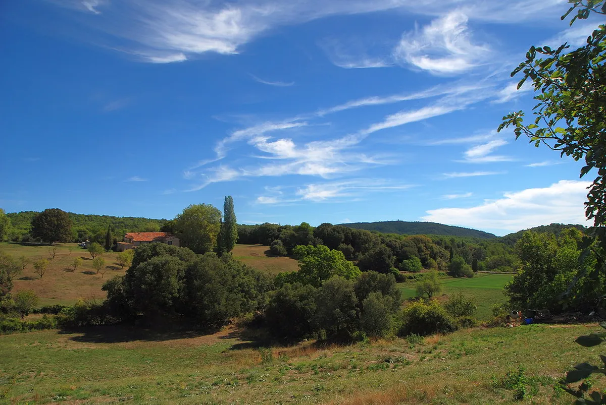 16. Check out local art galleries