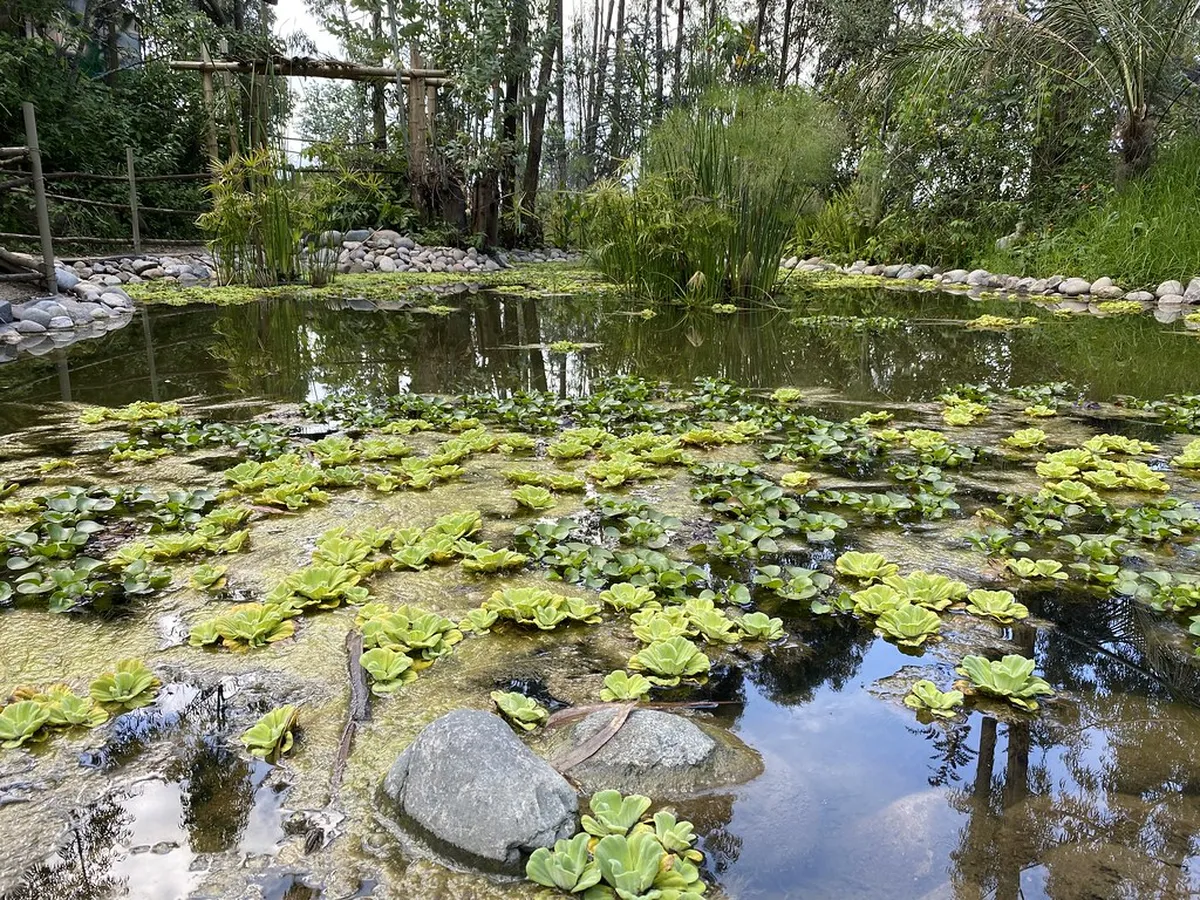 16. Consider Couchsurfing or Hostels