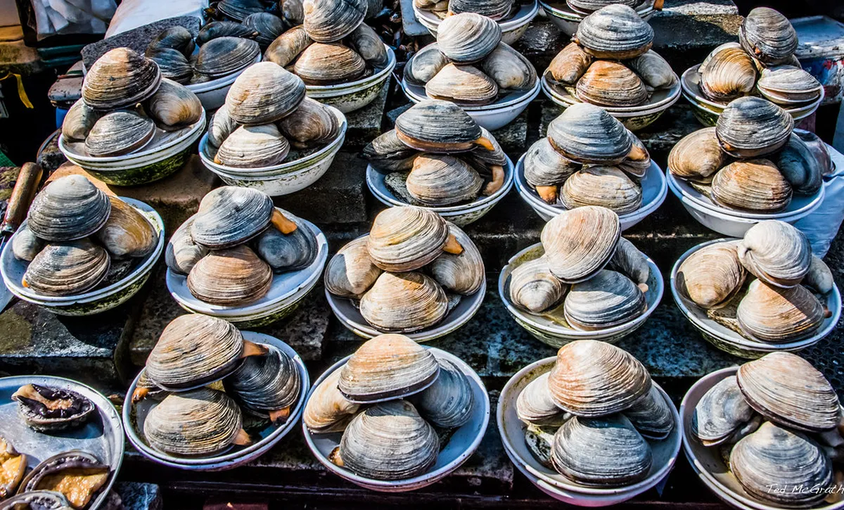 1. Jagalchi Fish Market