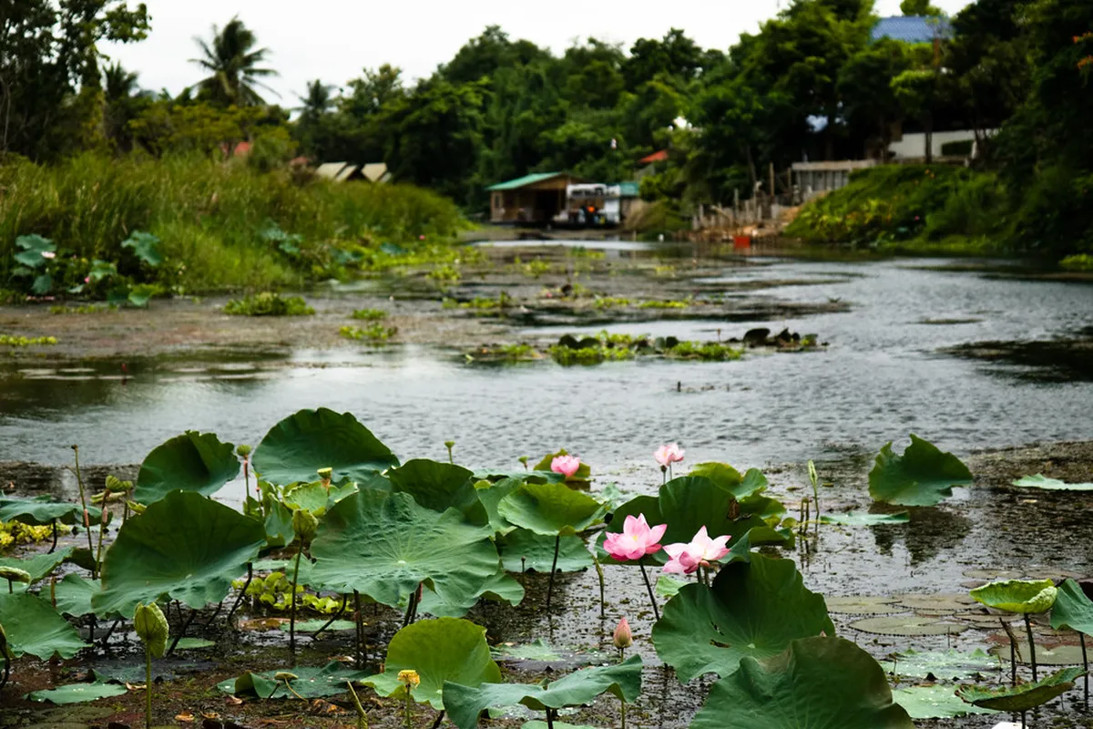 4. Sugar Cane Guesthouse