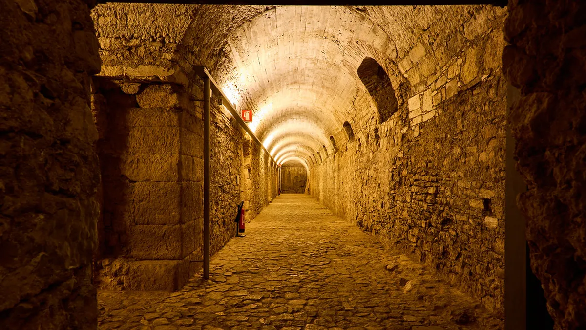 7. The Cryptoporticus