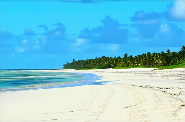 Top activities for solo travelers in Diani Beach