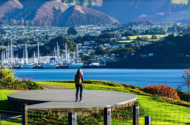 Top activities for solo travelers in Wellington