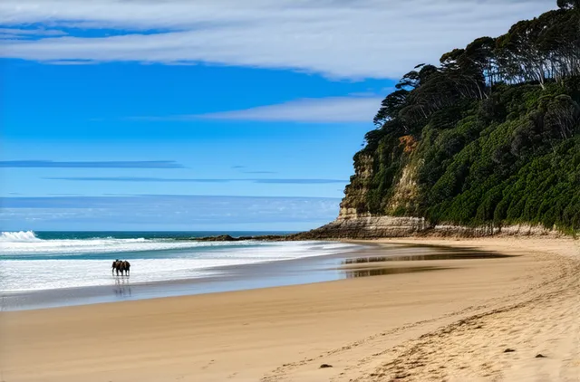 Top outdoor activities for solo travelers in Byron Bay