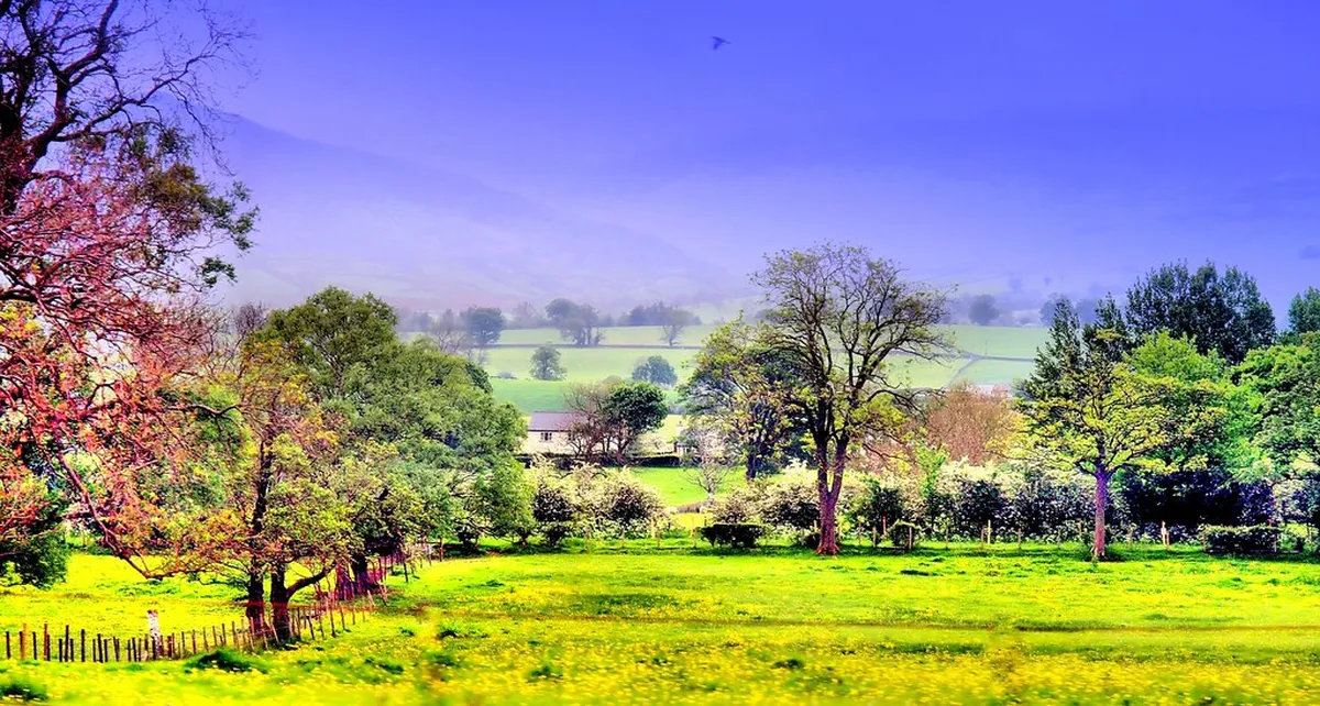 7. Upland Park