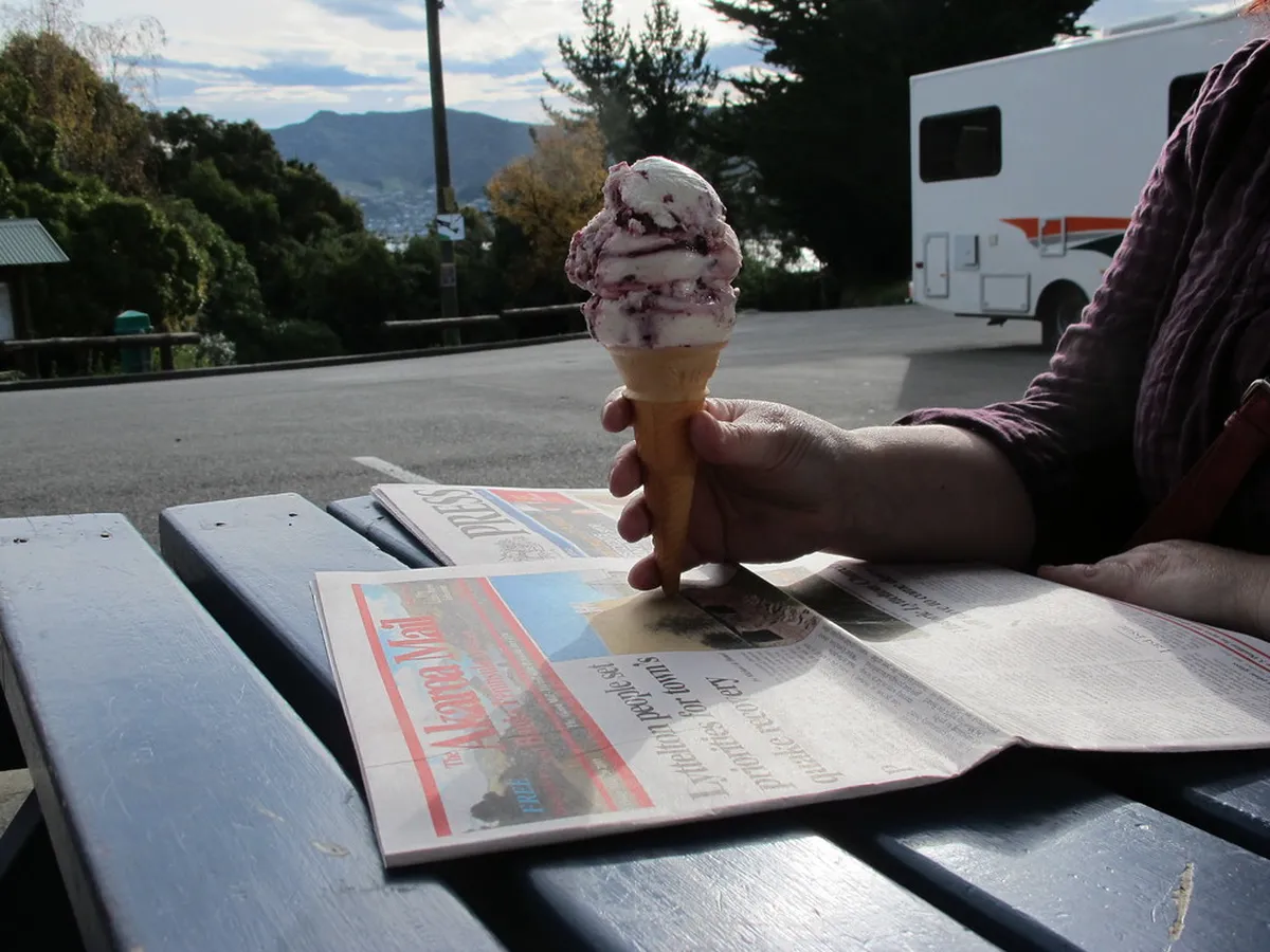 10. Visit the Akaroa Harbour