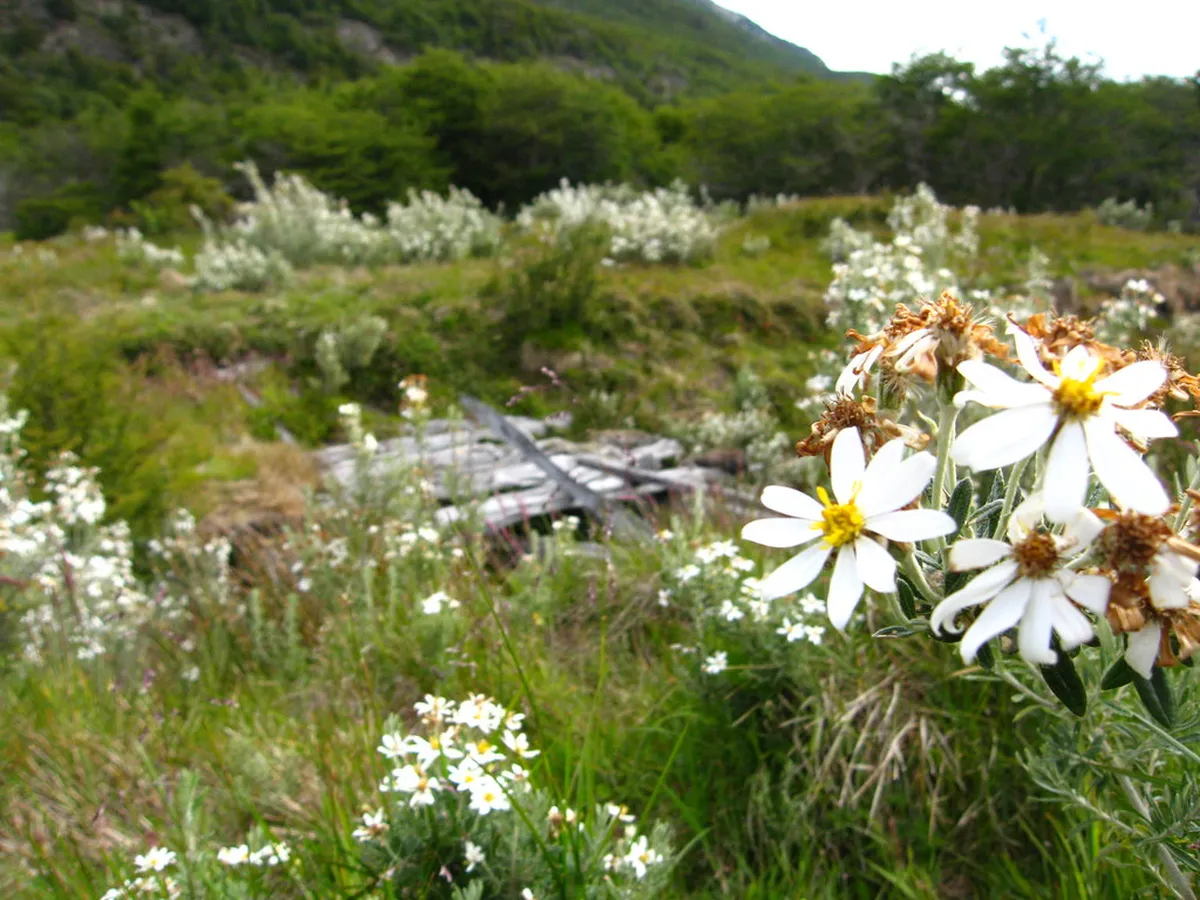 1. Visit Tierra del Fuego National Park